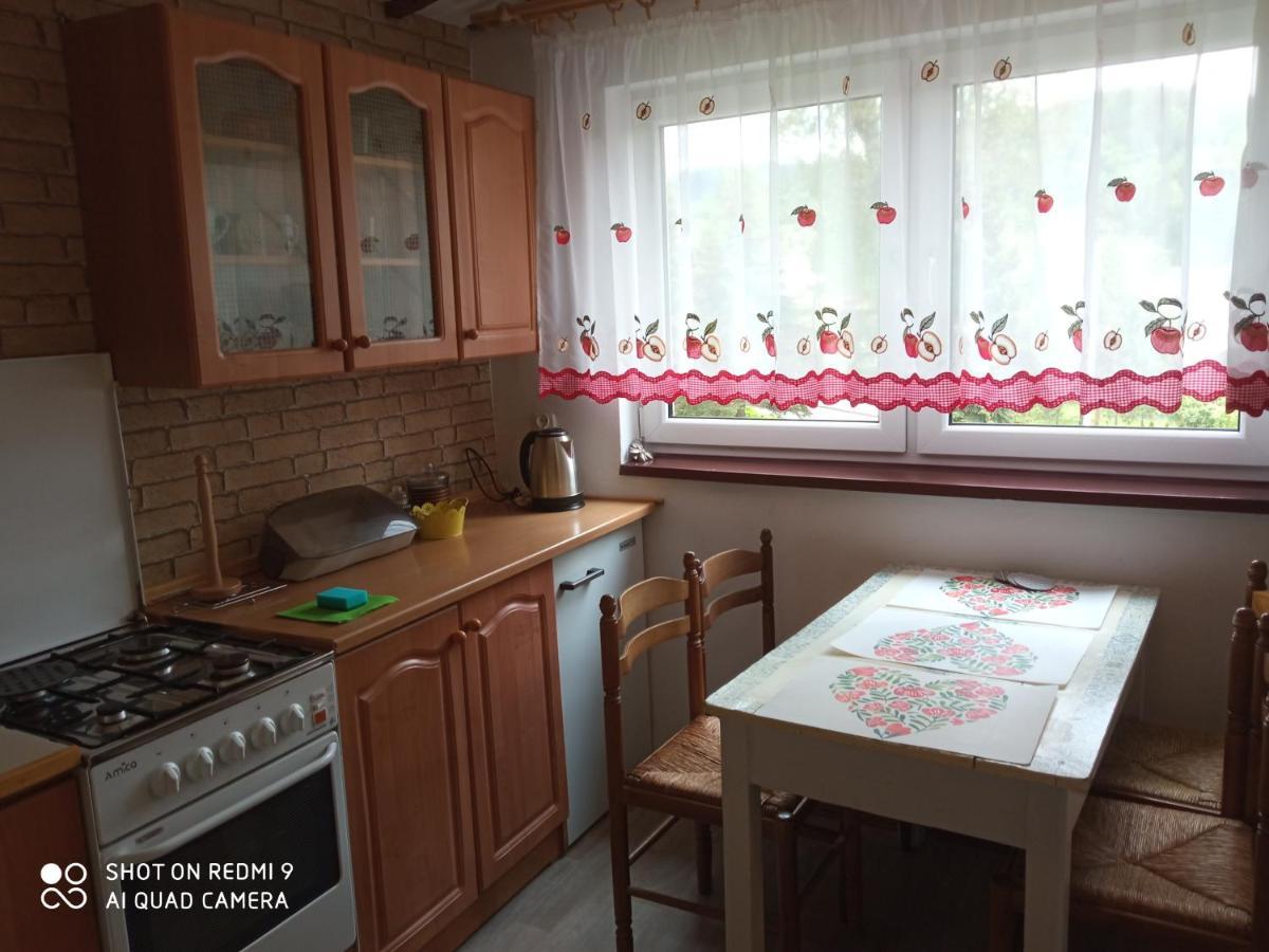 Domek i Apartamenty Stokrotka Krynica Zdroj Eksteriør bilde